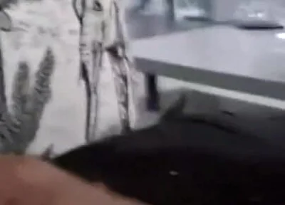 Big Cock