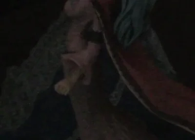 Late night SoF with Vivi Nefertari