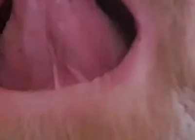 Mature Chubby Bear Toothless. Watch Inside My Toothless Mouth and Meet My Tongue - Mouth Fetish