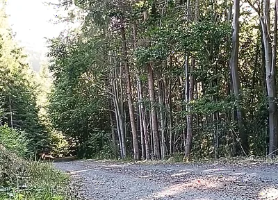 Scooter Rider Outdoor Masturbation