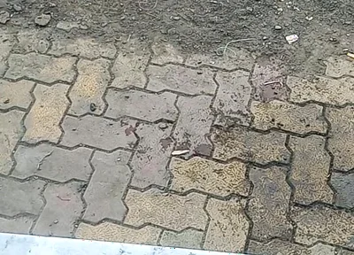 Desi Gay Boy Sucking Wife and Pussy