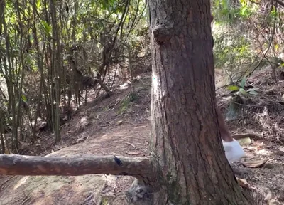 A Curious Heterosexual Boy Saw Me Masturbate in the Forest and We Ended up Fucking