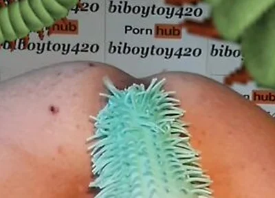 Anal Centipede Crawling In And Out,hentai Parody.(halloween Fun)