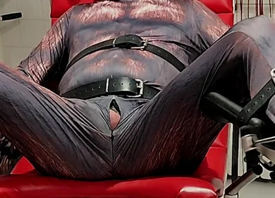 Playing Puppies the First Examination