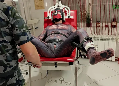 Playing Puppies the First Examination