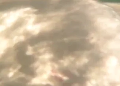 I Cum Just for the Pleasure of Feeling Free, Naked on a Public Beach