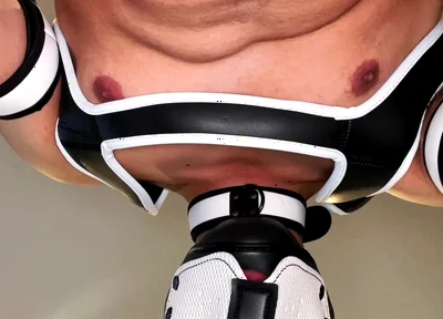 Alpha Pup Hood Dominate You