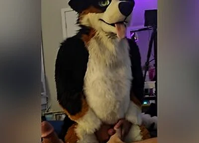 Lewdmindedlynx Helps Angrybarks Through His Rut Week Cums Inside And On His Feet Paws