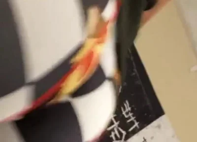 Incredible Pussa
