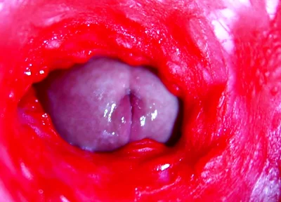 Extreme close-up ASMR head inside wet pussy