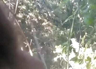 Pissing in My Backyard