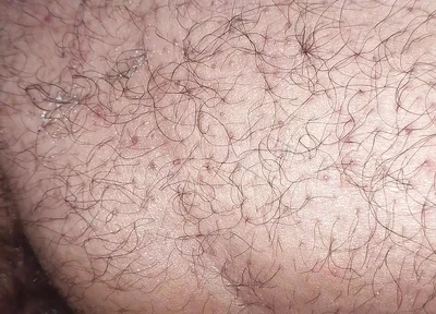 A Close up Ass Worshiping and Fingering