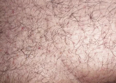 A Close up Ass Worshiping and Fingering