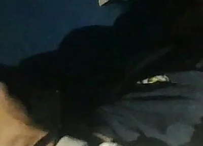Watching Videos of Me Jerking