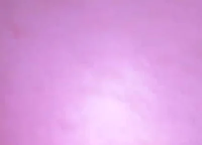 Anal Fun