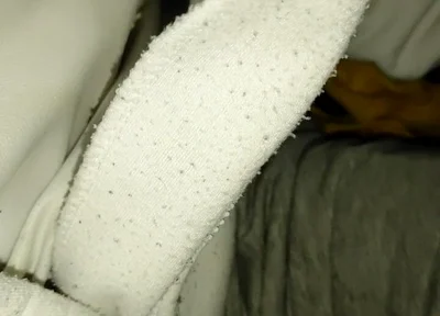 Dirtyjunkbro Shows off His Stinky Socks and Long Underpants