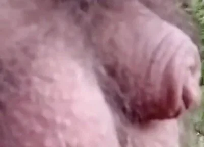 Pissing in the Woods