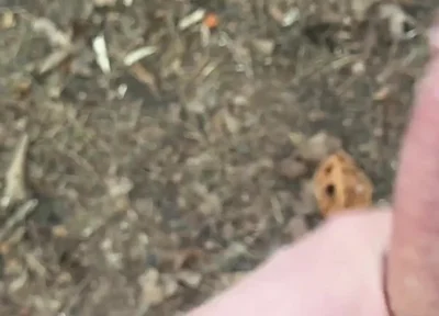 Solo Jerking off