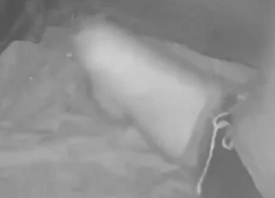 During His Jog, a Guy Discovers a Young Camper and Submits Him - Caught on Night Vision Cam