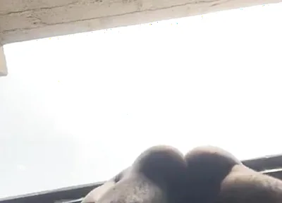 Doggy Bareback Below View