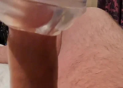 A Bear's Last Load of the Night