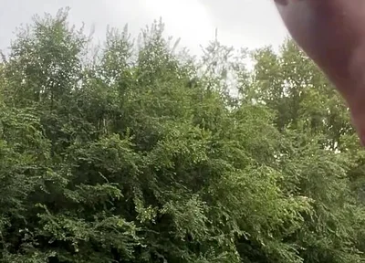 Jerking in the Woods