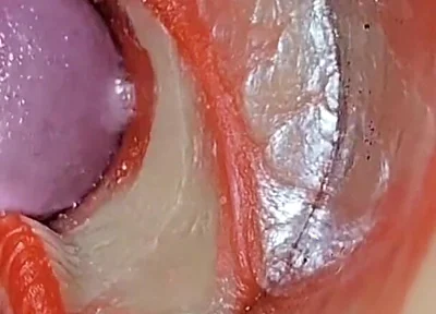 Compilation Creampie Part 2 POV