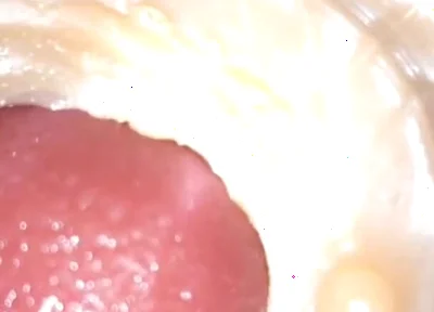 Compilation Creampie Part 4 POV