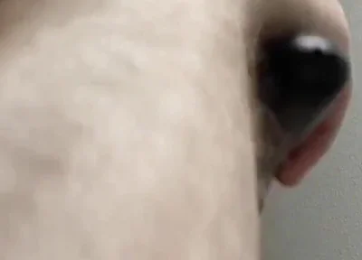Shaving and trimming my cock, balls, and face