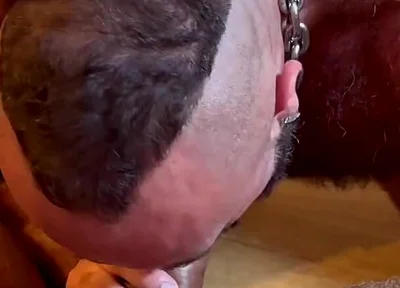 Hairy Males Fucking