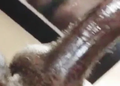 Straight BBC Plays with Ass and Cums in Mirror