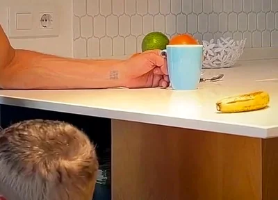 I Secretly Suck My Best Friend While My Wife Isn't Watching - His Dick Squirts Hard in My Mouth
