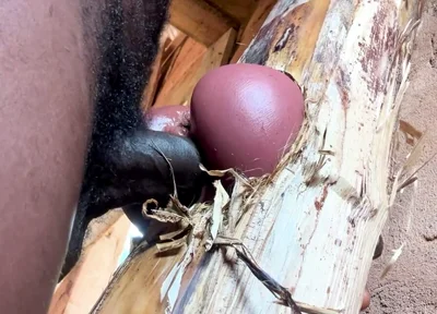 Ass Is Very Sweet in My Prison Room