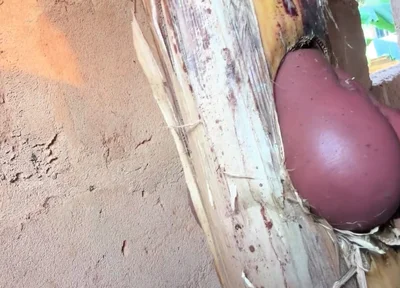 The Prisoner Find Hard Way to Sex