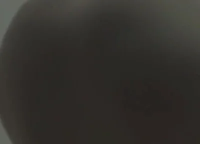 Essasex