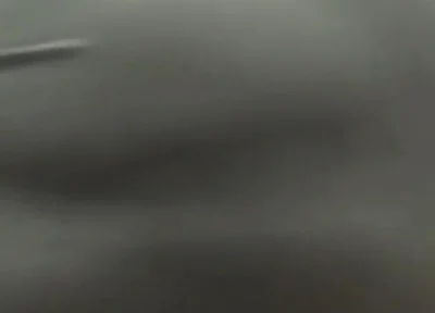 Essasexe 2