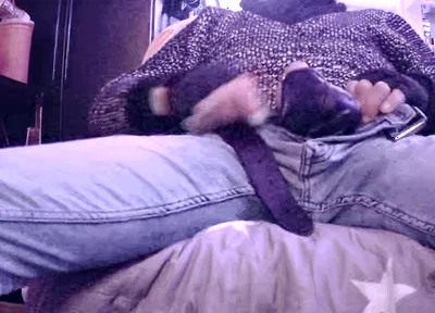 Stepdaddy Is Fooling Around Part 3 (cumming)