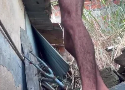 I Masturbate Behind the Neighbor's House