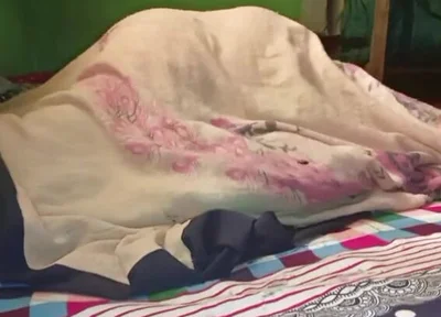 Anal Sex with My Girlfriend