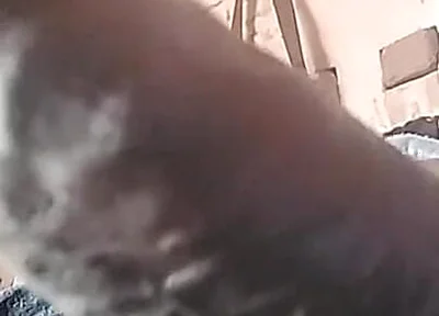 My Cock Is Very Hard and Long