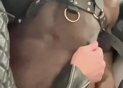 Interracial BDSM Whipping Titplay & Wank Session