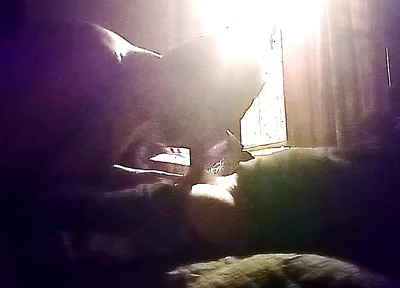My Neighbor's Son Visits Me for Oral Sex in Secret