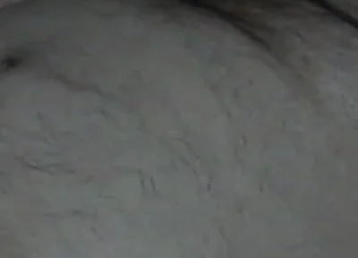 Bear Daddy Cums