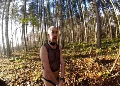 Cold Day in the Woods