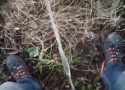 Pissing