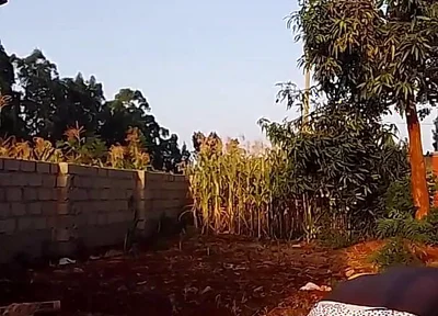 Sexy Desi Twink Stretching Compilation