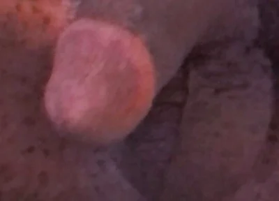 Wanna Get Fucked and Breed??