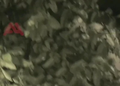 Amateur Boy Sucks a Guy He Found Jerking-off in the Street