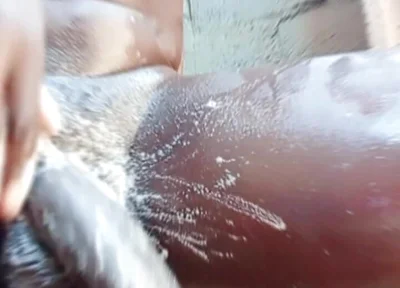 Neighbor Masturbates to Pornstar Queenroyalty and Cumz Hard!