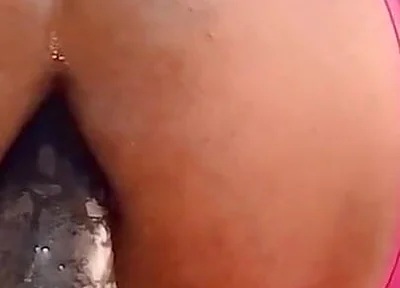 Succulent Toy!